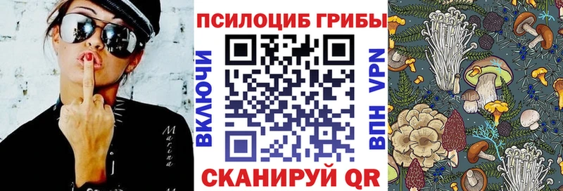 Псилоцибиновые грибы GOLDEN TEACHER  Лихославль 